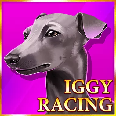 Iggy Racing game title